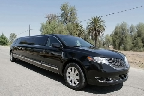 Houston 20 Passenger Limo